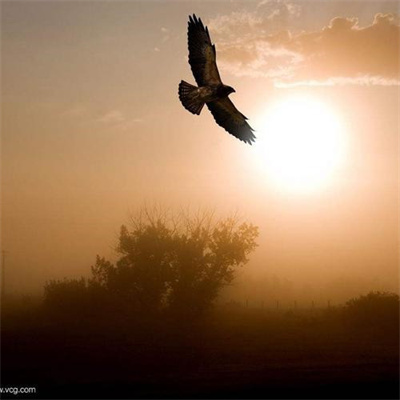 励志微信头像风景图片(共24张)