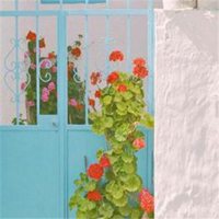 励志微信头像风景图片(共24张)