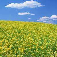 励志微信头像风景图片(共24张)