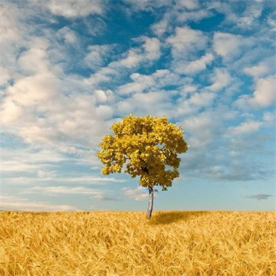 微信头像励志风景头像(精选24张)