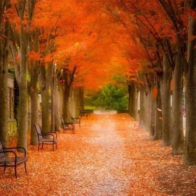 微信头像励志风景头像(精选24张)