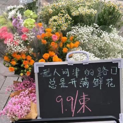 微信头像励志风景头像(精选24张)