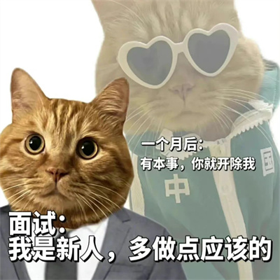 令人开心超逗的头像合集图片(优选24张)