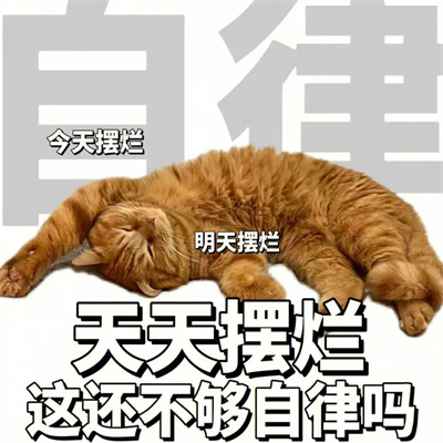 令人开心超逗的头像合集图片(优选24张)