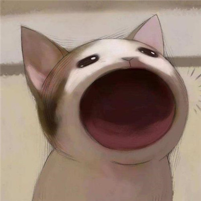 看起来超开心的头像(共16张)