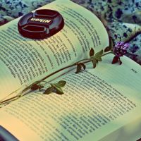 微信头像书本唯美清新图片大全(24张)