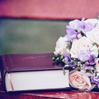 微信头像书本唯美清新图片大全(24张)