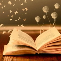 微信头像书本唯美清新图片大全(24张)