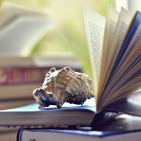 微信头像书本唯美清新图片大全(24张)