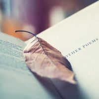 微信头像书本唯美清新图片大全(24张)