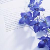 微信头像书本唯美清新图片大全(24张)