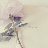 静物头像简约清新图片(24张)