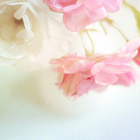 静物头像简约清新图片(24张)