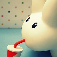 静物头像简约清新图片(24张)