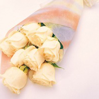 静物头像简约清新图片(24张)