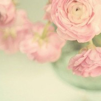 静物头像简约清新图片(24张)