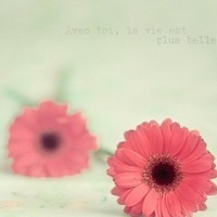 静物头像简约清新图片(24张)