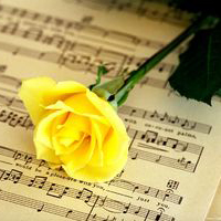 静物头像简约清新图片(24张)