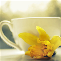 唯美意境图片清新淡雅头像(优选24张)