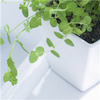 唯美意境图片清新淡雅头像(优选24张)