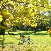 唯美意境图片清新淡雅头像(优选24张)