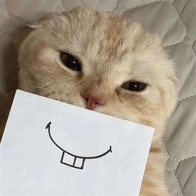 情人节怼情侣的头像(优选24张)