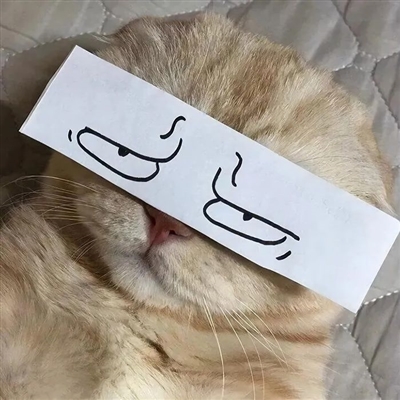 情人节怼情侣的头像(优选24张)