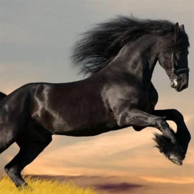 好看又耐看的头像图片(24张)