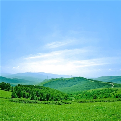 好看又耐看的头像图片(24张)