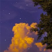 高雅有内涵的微信头像(精选22张)