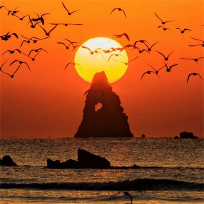 2023一看就舒心的微信头像(优选22张)