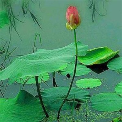 2023一看就舒心的微信头像(优选22张)