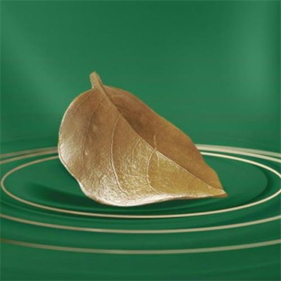 2023一看就舒心的微信头像(优选22张)