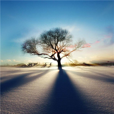 2023成熟男士专用微信头像(共12张)