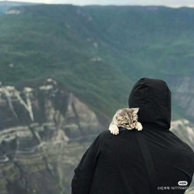 超有感觉的男生头像(共22张)