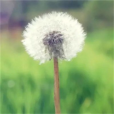 2023年微信头像最吉利好运图片女(精选28张)