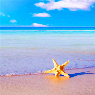 2023带来好运的微信头像(共20张)