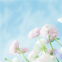 清新小花头像微信头像(精选18张)