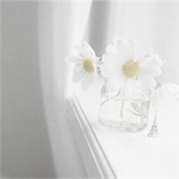 小清新花朵唯美个性头像大全图片(22张)