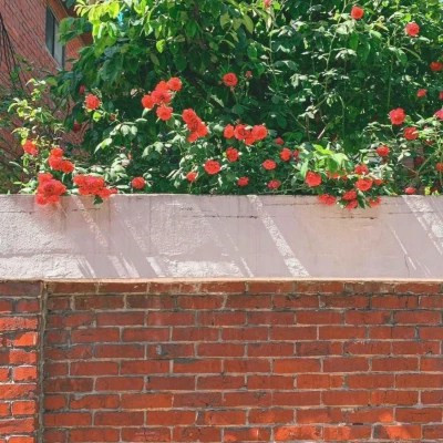 2023最好看的微信头像风景超清图片(24张)