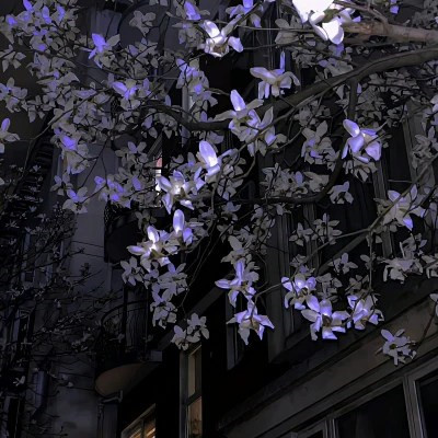 2023最好看的微信头像风景超清图片(24张)