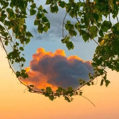 2023最好看的微信头像风景超清图片(24张)