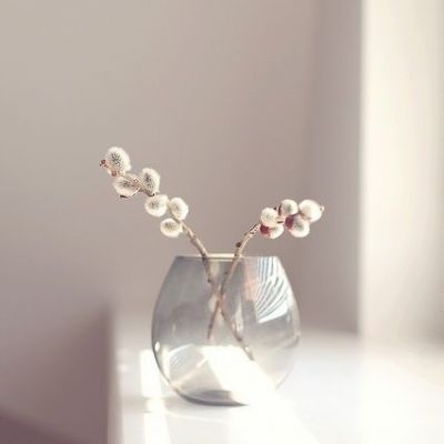 阳光干净的微信头像图片(精选20张)