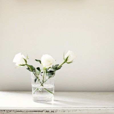 阳光干净的微信头像图片(精选20张)