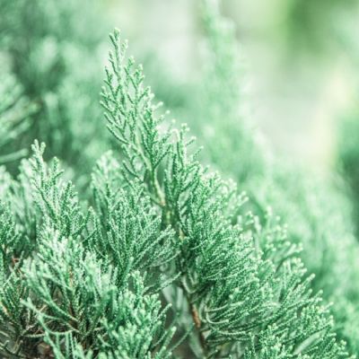 阳光干净的微信头像图片(精选20张)