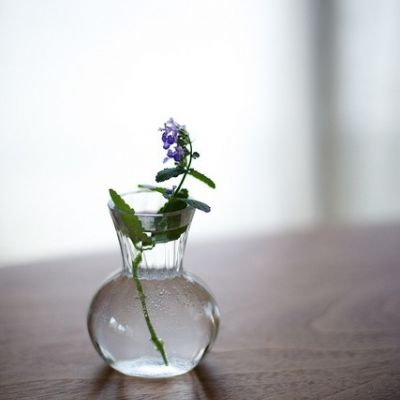 阳光干净的微信头像图片(精选20张)