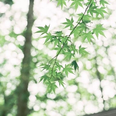 阳光干净的微信头像图片(精选20张)