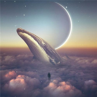 2023今年最红头像(优选20张)