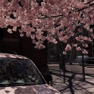 2023微信朋友圈背景图片头像(优选22张)