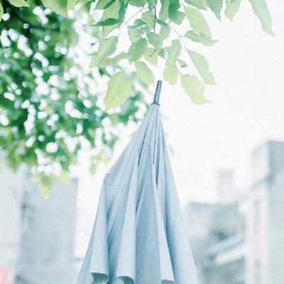 简单的头像干净静物小清新图片(优选22张)